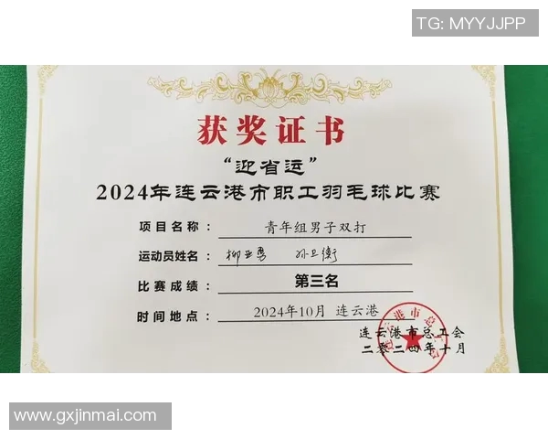 南京羽毛球队荣登羽毛球比赛经验排行榜第三名的背后故事与启示