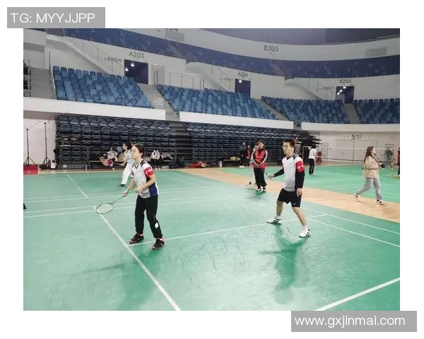 武汉羽毛球队反击之路：深度解析其战术与团队精神的成功秘诀