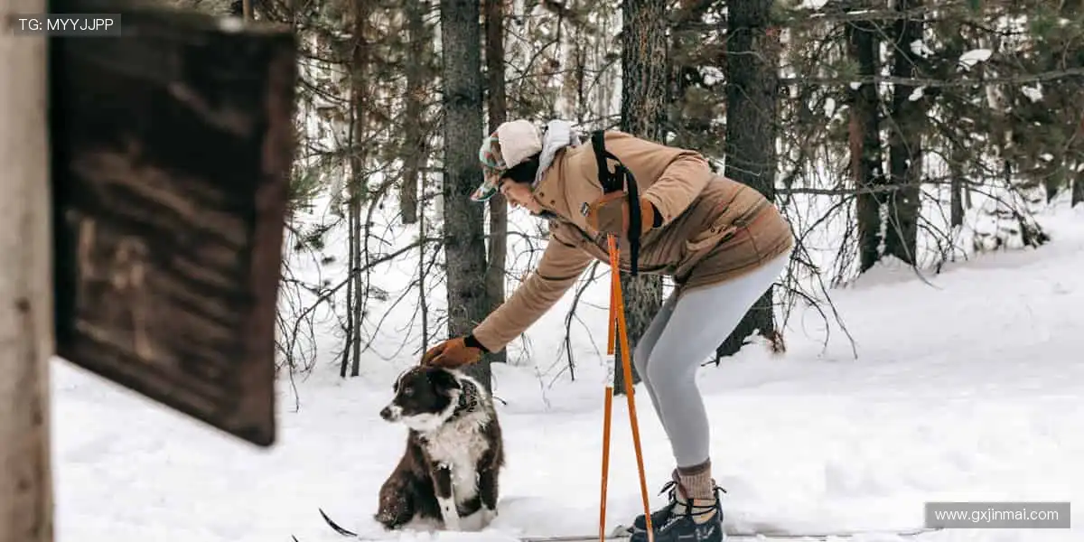 高清直播,细节尽收眼底!📡